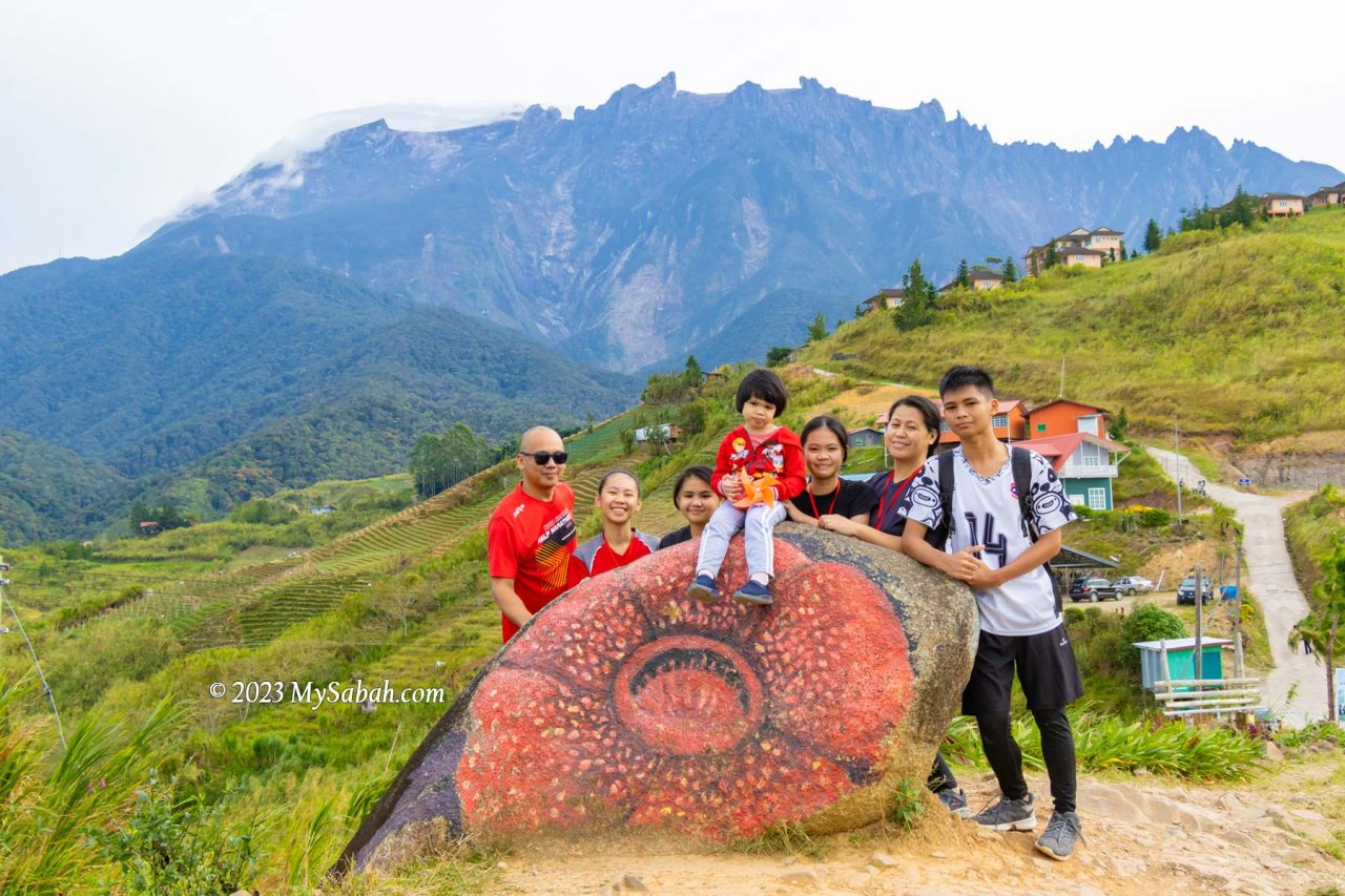 Rock painted with rafflesia flower on the trail