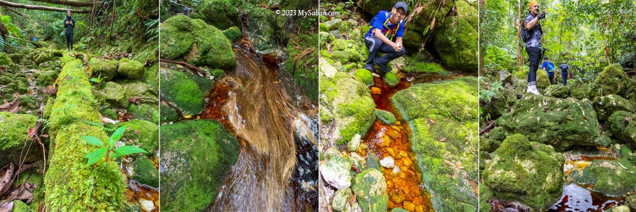 The green mossy rocks and red streams along the trail