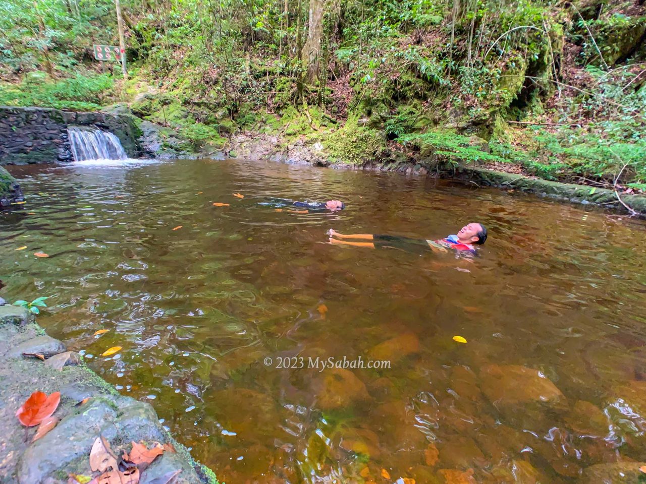 Cooling off in a pond near the starting point