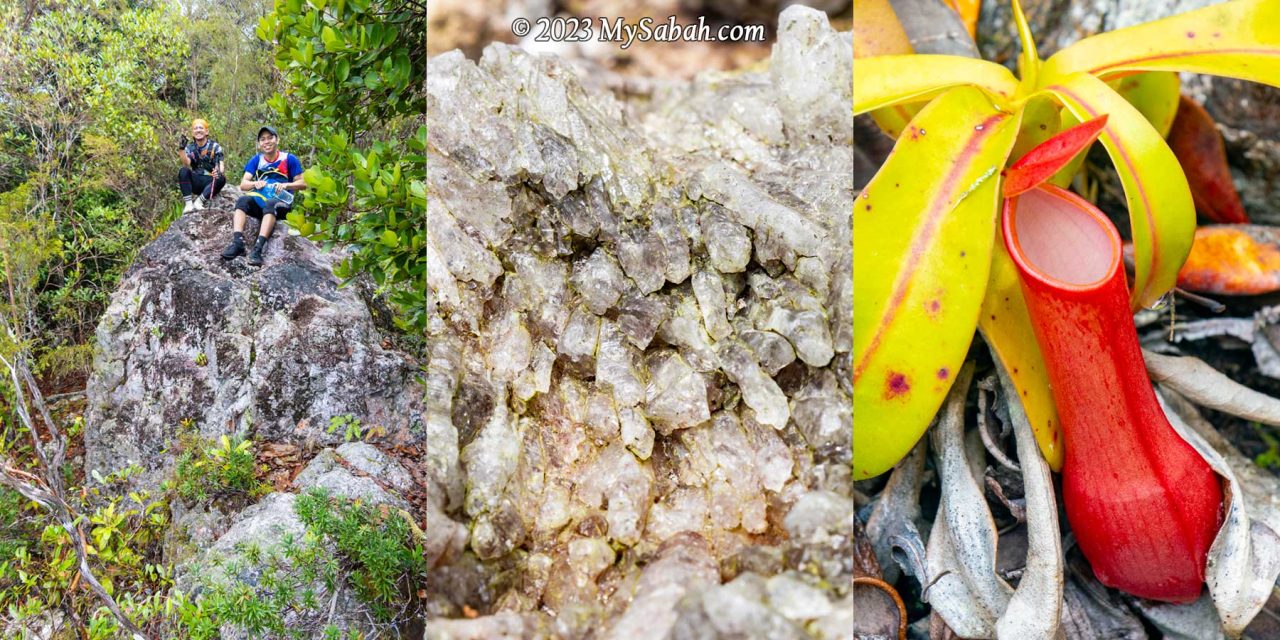 From left: volcanic rocks, crystals and pitcher plant of Mount Wullersdorf