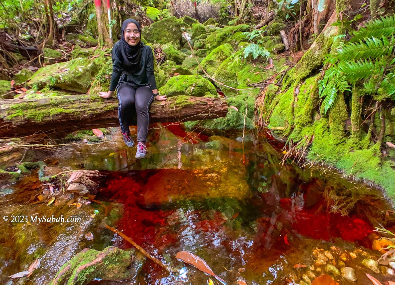 The reddish tea colour water of Wullersdorf Forest Reserve