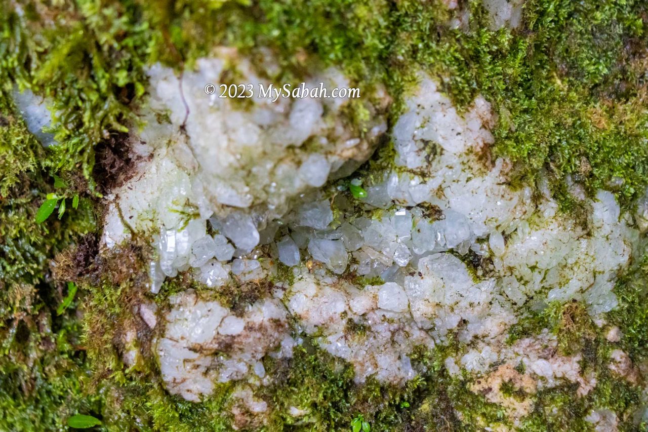 Crystals embedded in a river rock