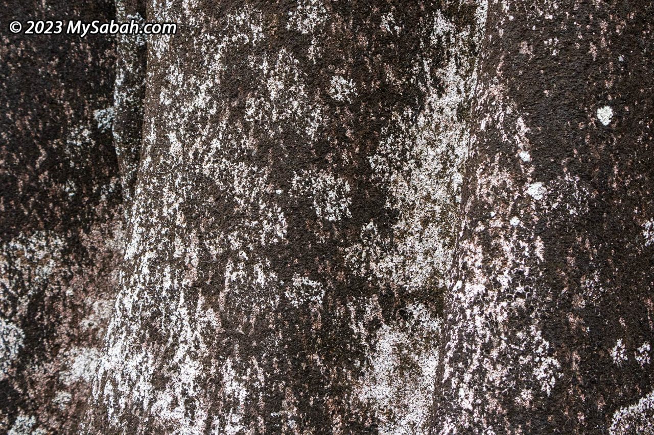 White mold on granite