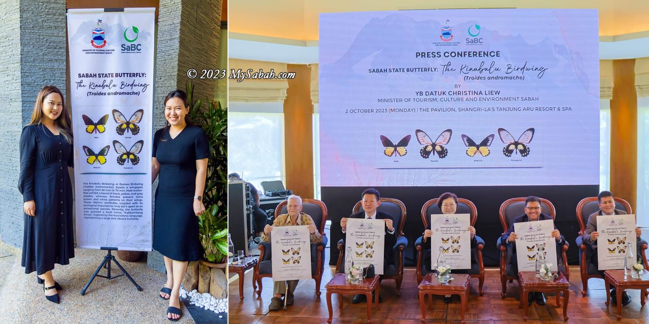 Official announcement of Kinabalu Birdwing as the Sabah State Butterfly in a press conference on 2 Oct 2023.