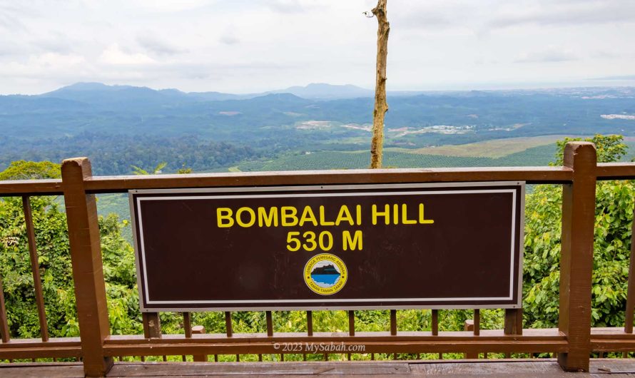 Climbing Bombalai Hill, an Ancient Volcano