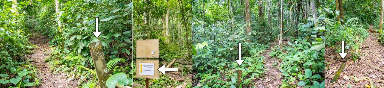 Distance markers to the peak of Bombalai Hill (Bukit Bombalai)