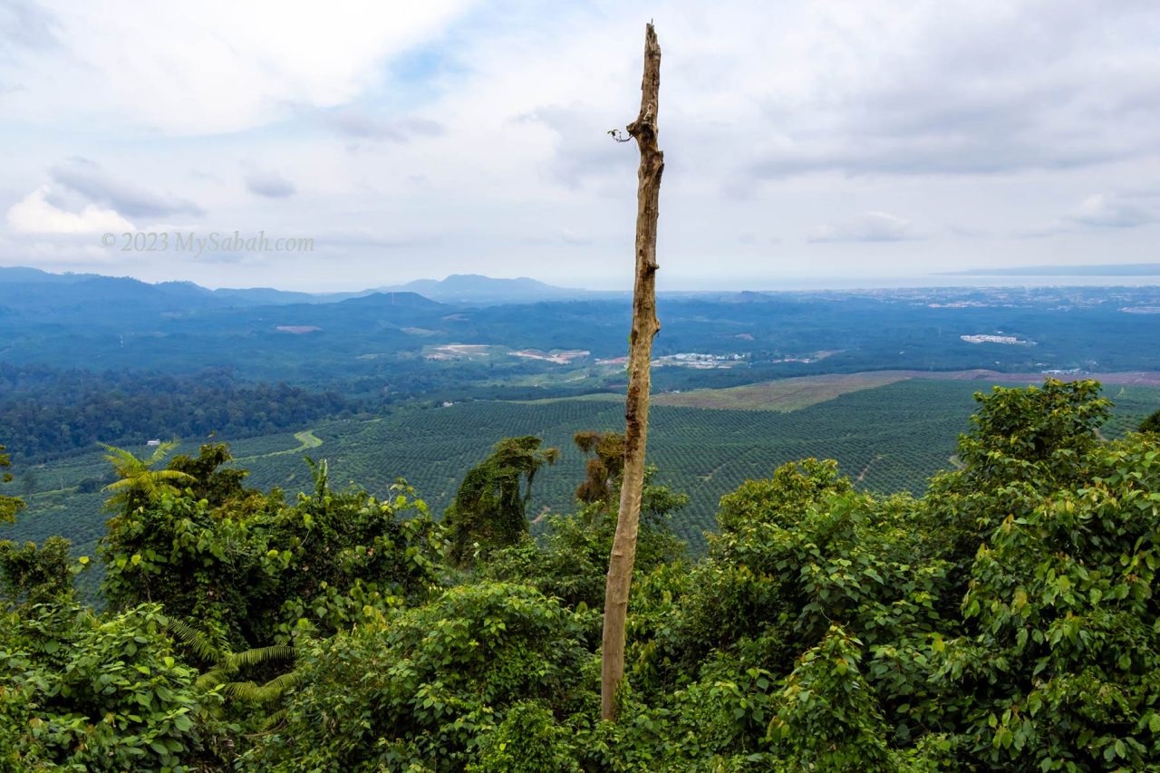 View from the peak of Bombalai Hill