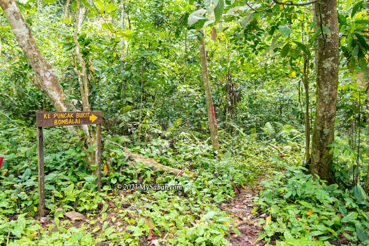 Signage to the peak of Bombalai Hill (Bukit Bombalai) at the forest edge