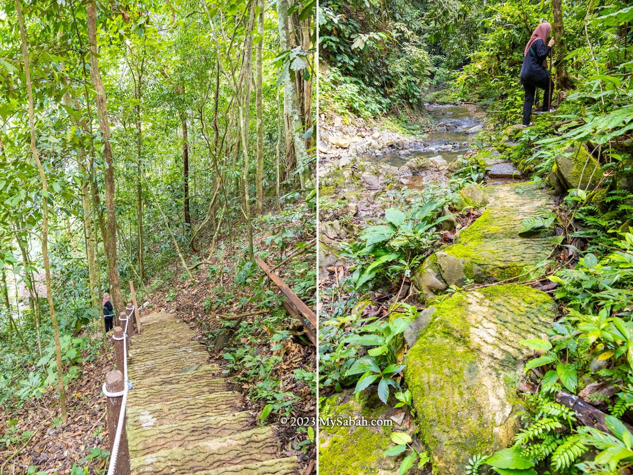 Taking a nature walk in Cocoa Culture Spring