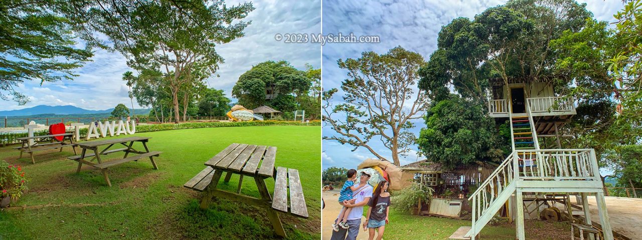 Left: the lawn area of Cocoa Village. Right: tree house
