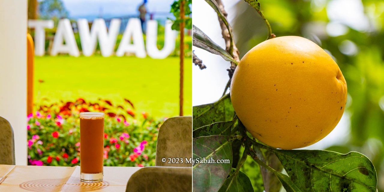 Left: cold cocoa drink. Right: Abiu fruit, also known as "I Love You" fruit