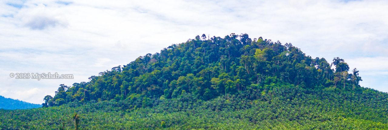 Quoin Hill at Teck Guan Cocoa Village