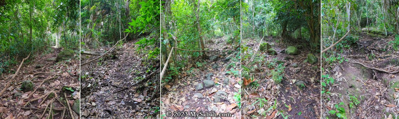 The steep climbing trail of Bukit Panchang