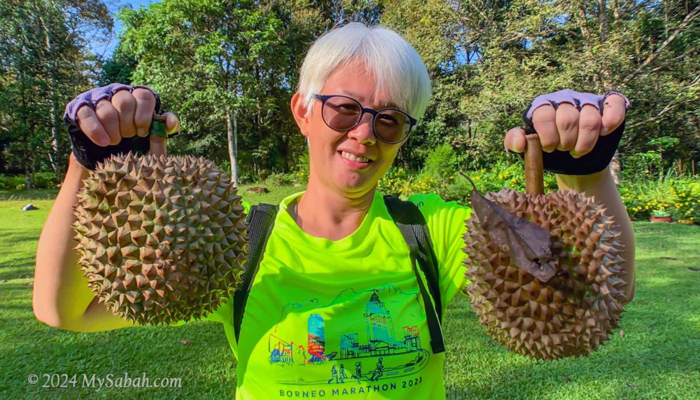 Durian from Kampung Sayap