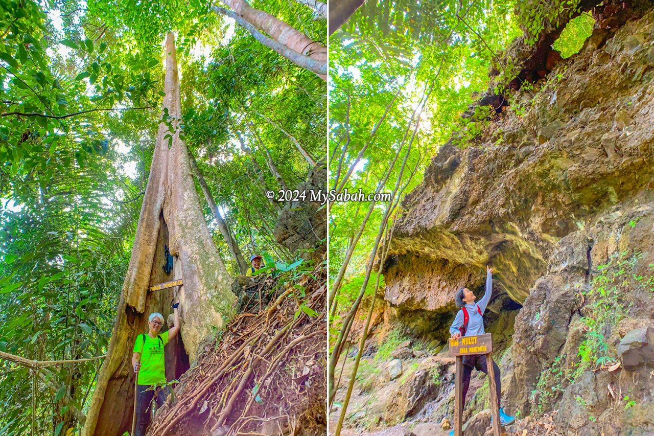 Left: passing through a big tree hole. Right: The Mouth Cave looks like a dinosaur head from this angle