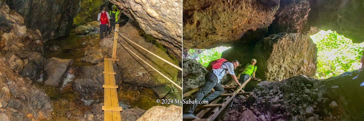 Bat Cave (Gua Pungit)