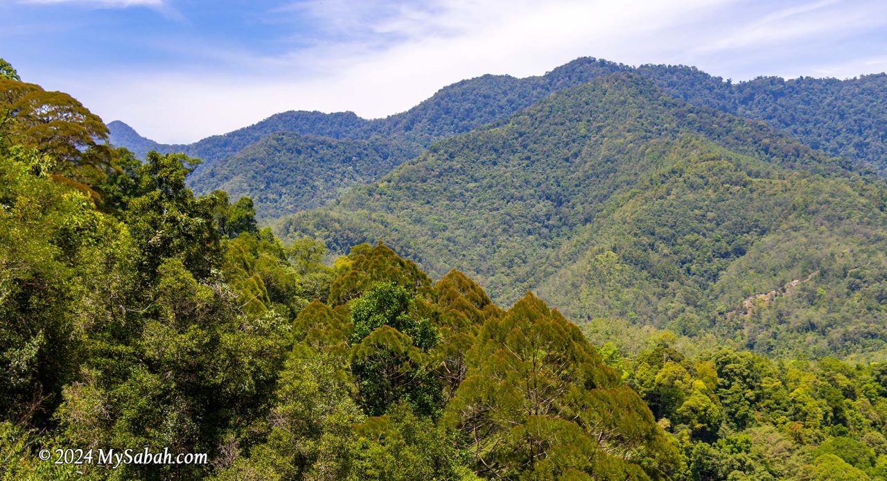 The hills and ridges of Aura Montoria