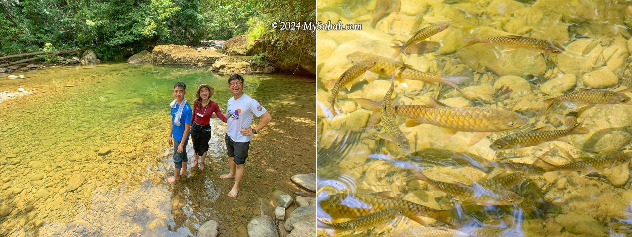 The river and fishes at the campsite of Aura Montoria