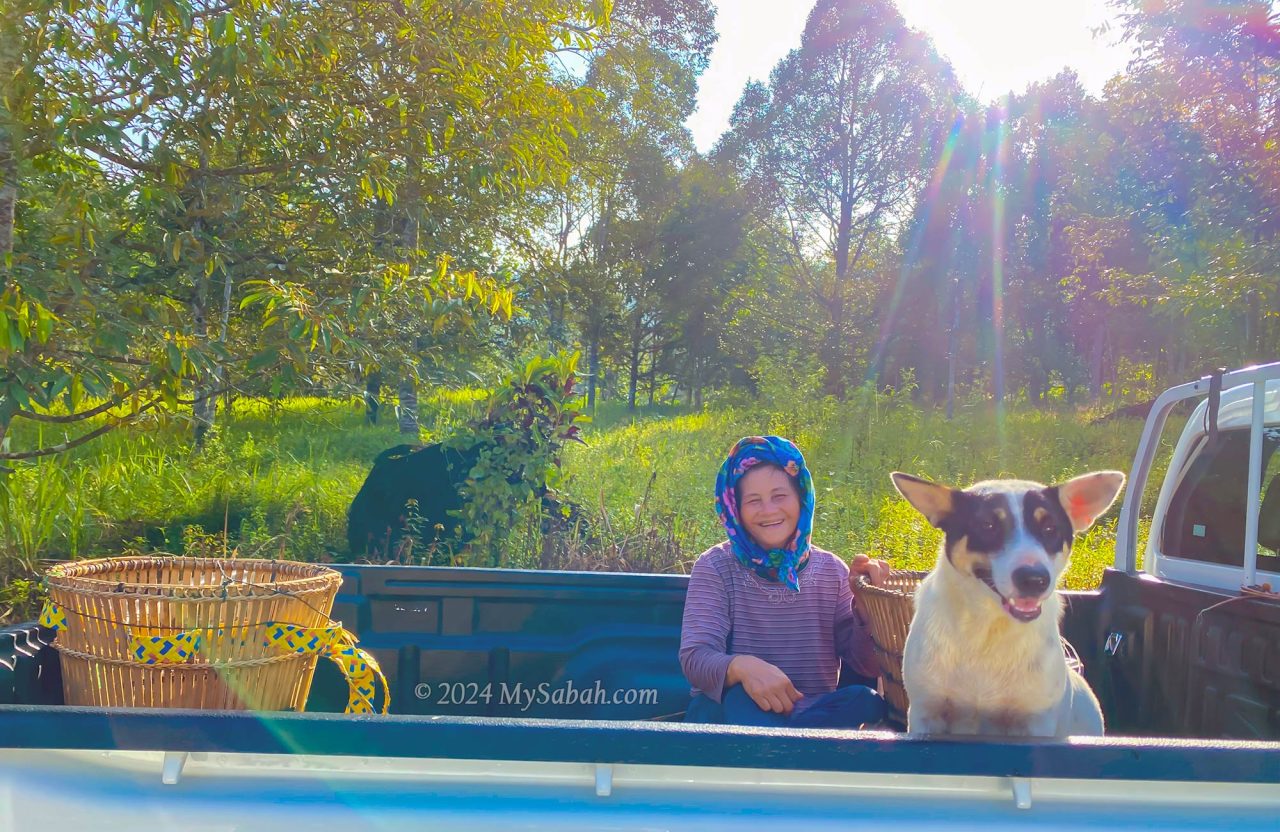 A friendly villager and her dog on a pick-up truck