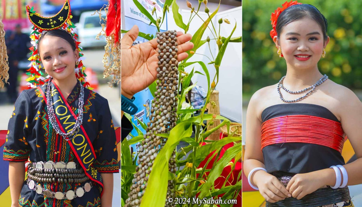 Dalai seeds and necklaces