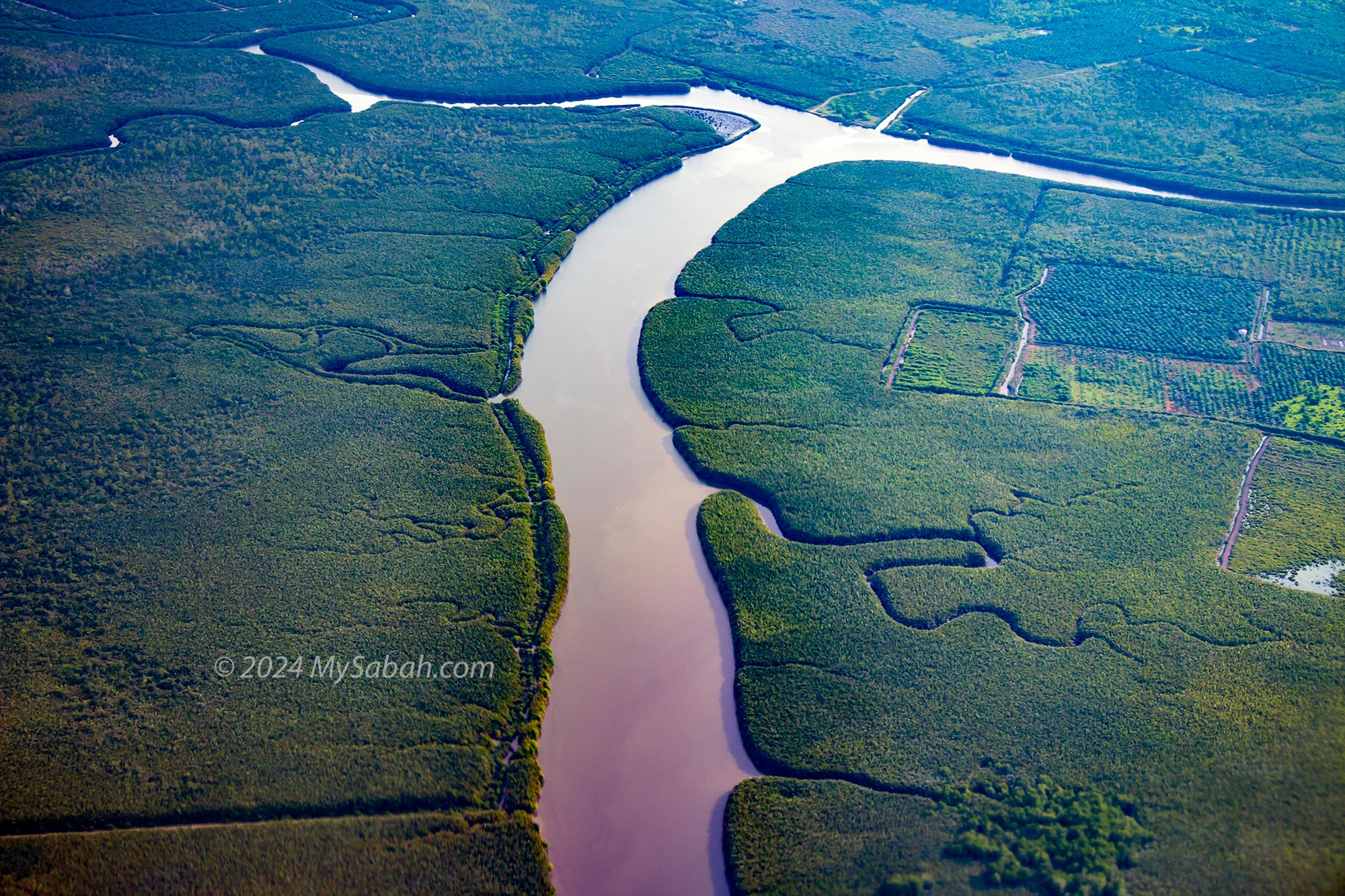 Kinabatangan River