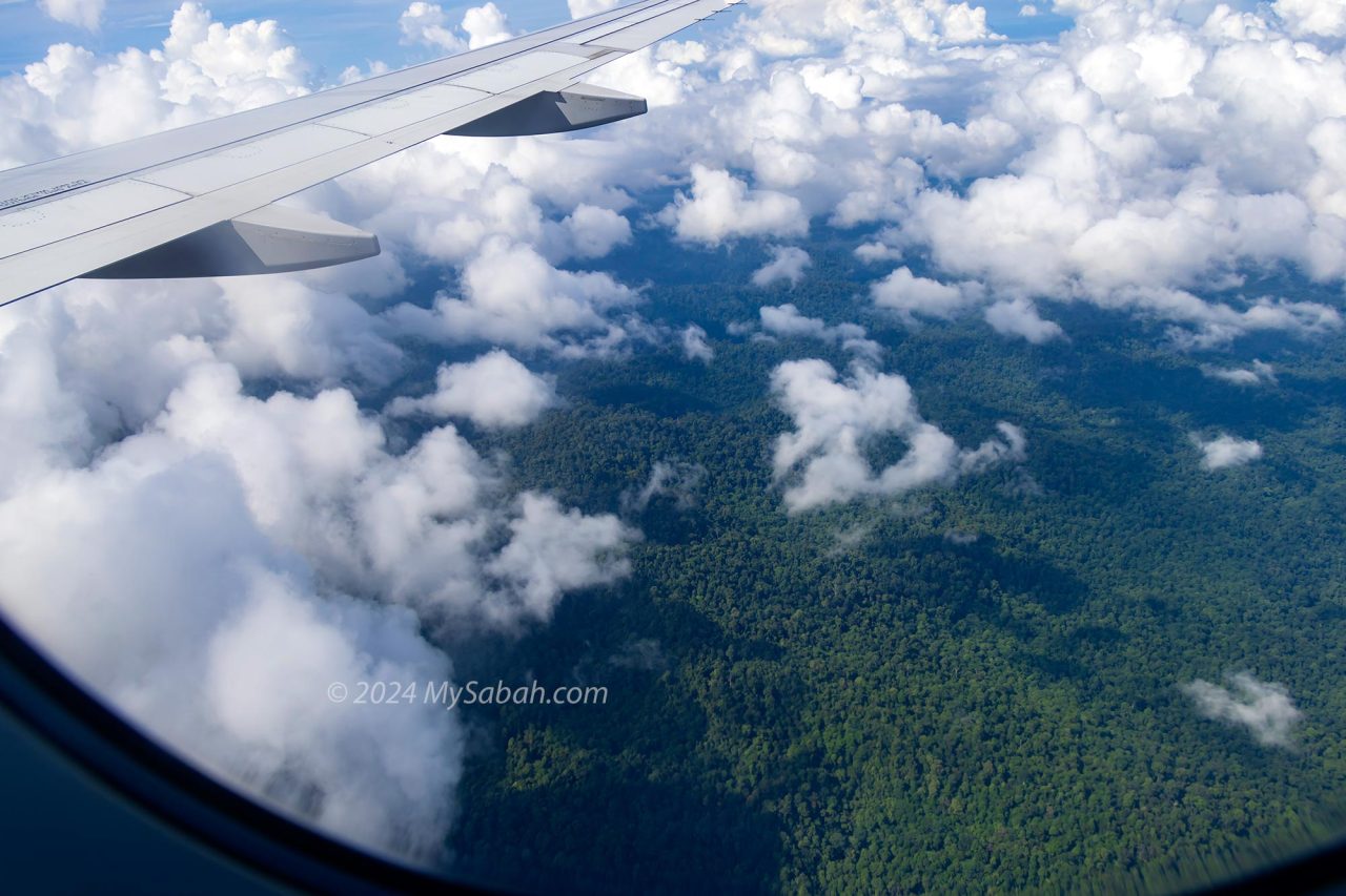 View of Tawau Hills Park from the plane
