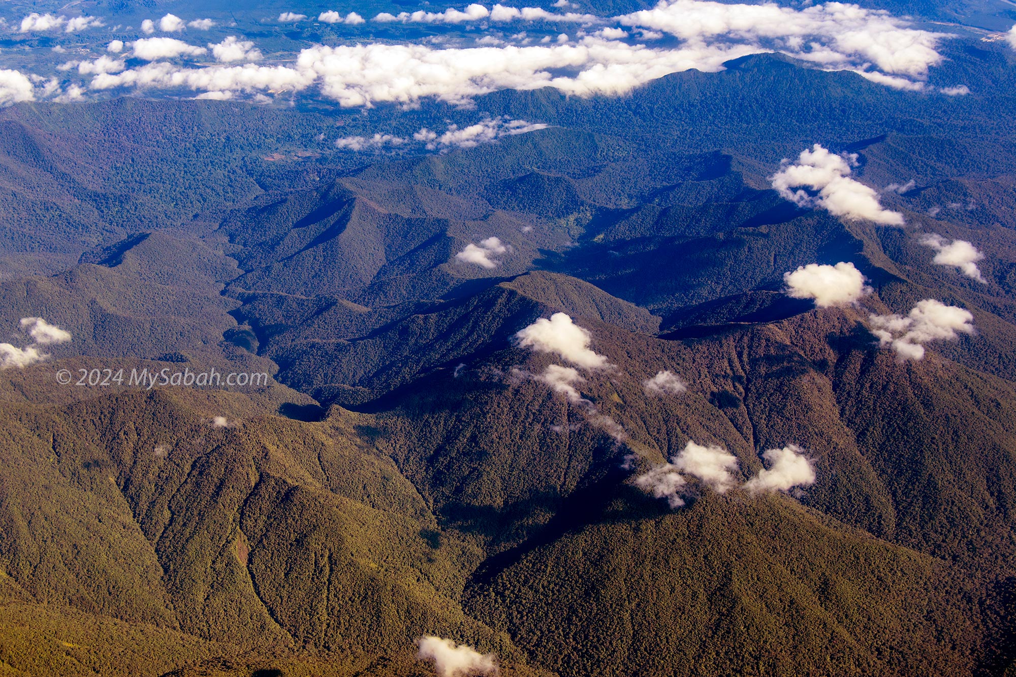 Tawai Forest Reserve in Telupid