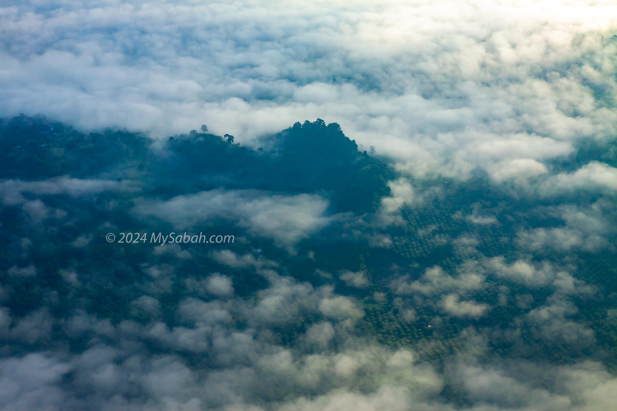 A small forest surrounded by oil palm in Lahad Datu