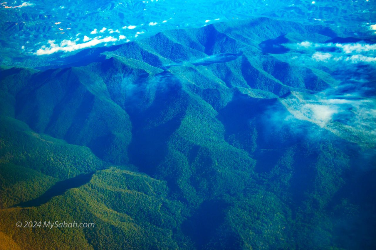 Tawai Forest Reserve under the plane flying to Sandakan