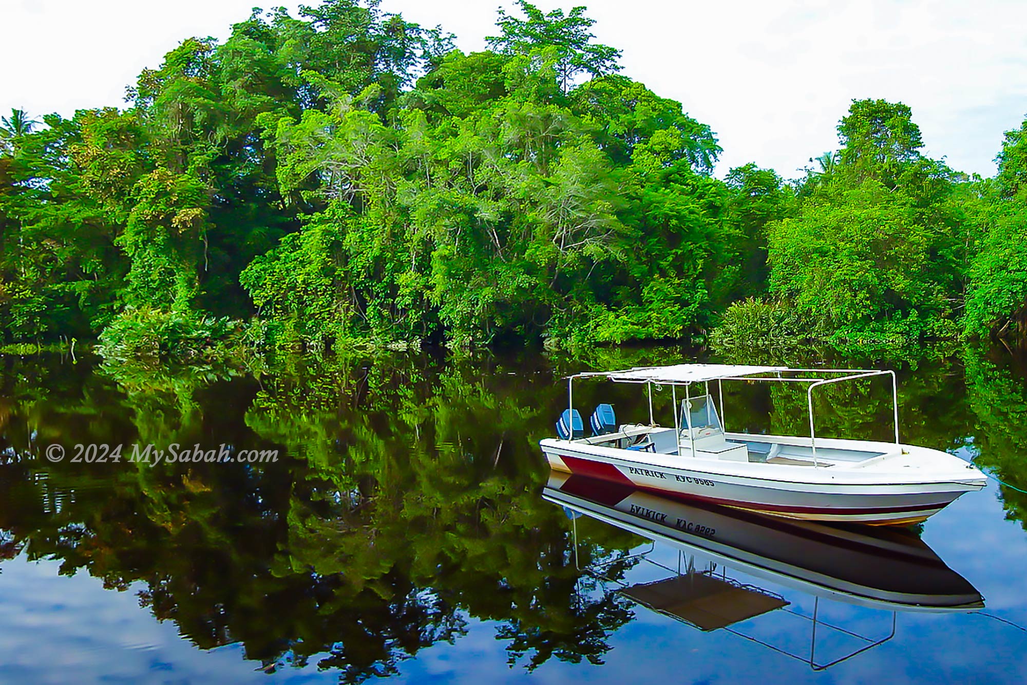 The brackish water of Klias River