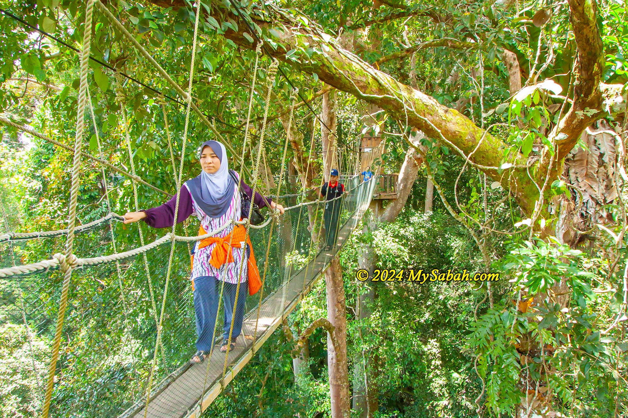 Canopy walk of Poring Hot Springs