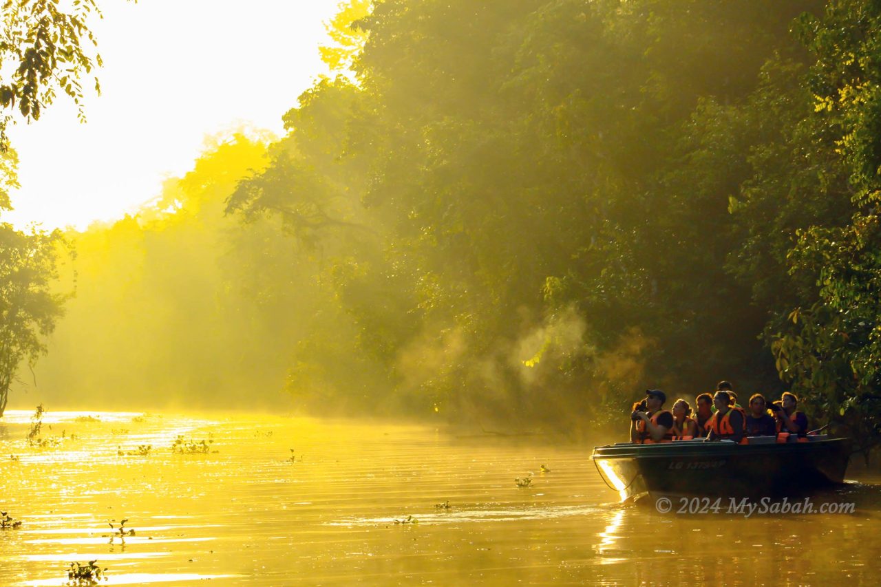 Morning river cruise in the misty Kinabatangan River