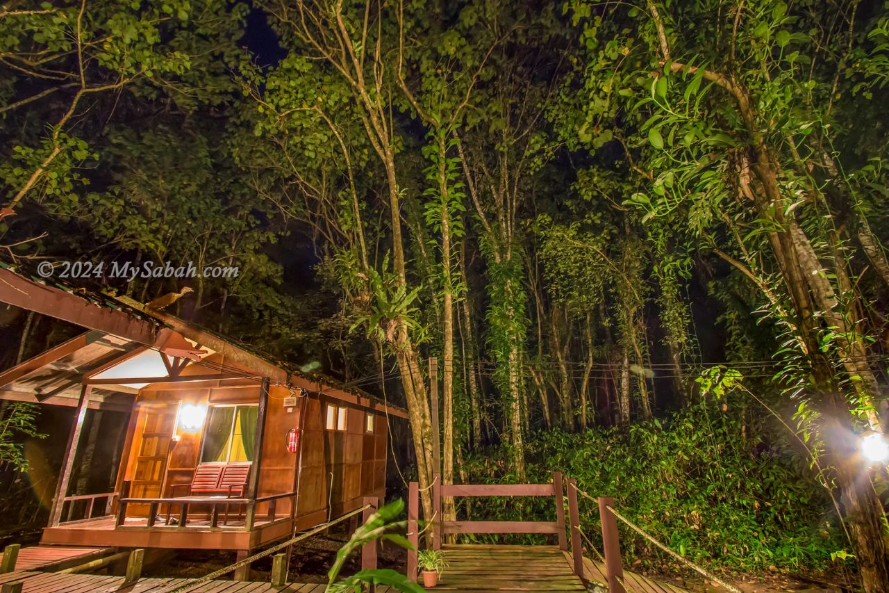 A forest lodge in Kinabatangan River