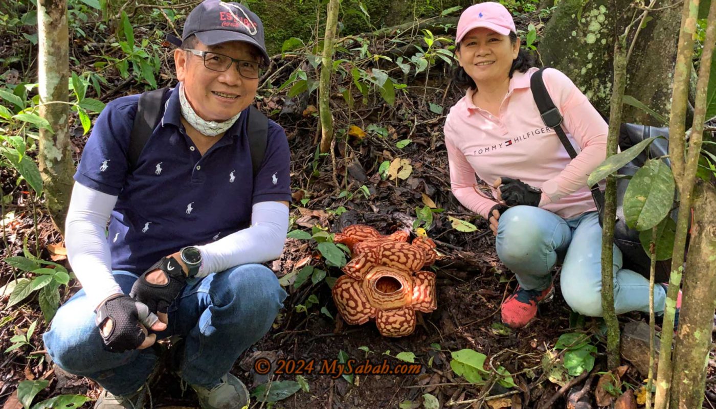 Tourists taking picture next to a Rafflesia flower