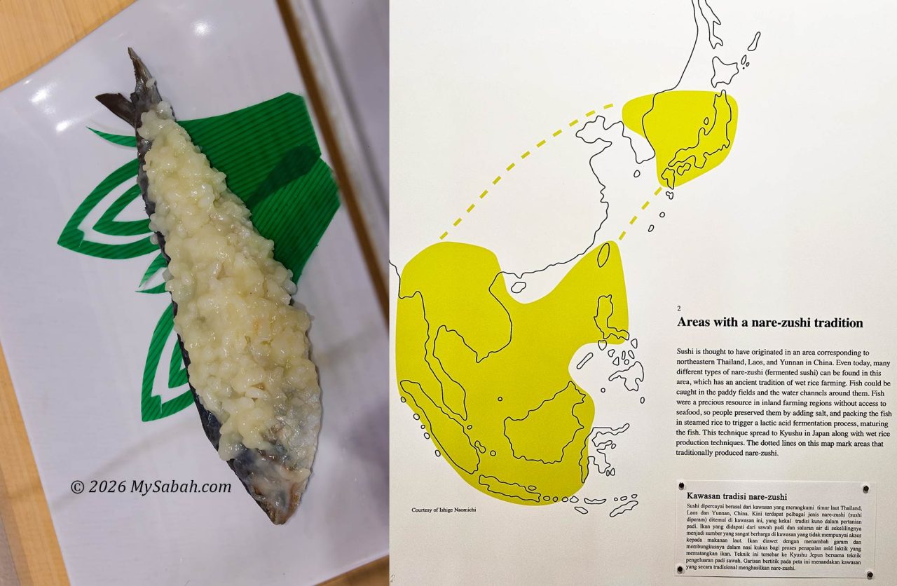 Nare-zushi of Japan and its origin