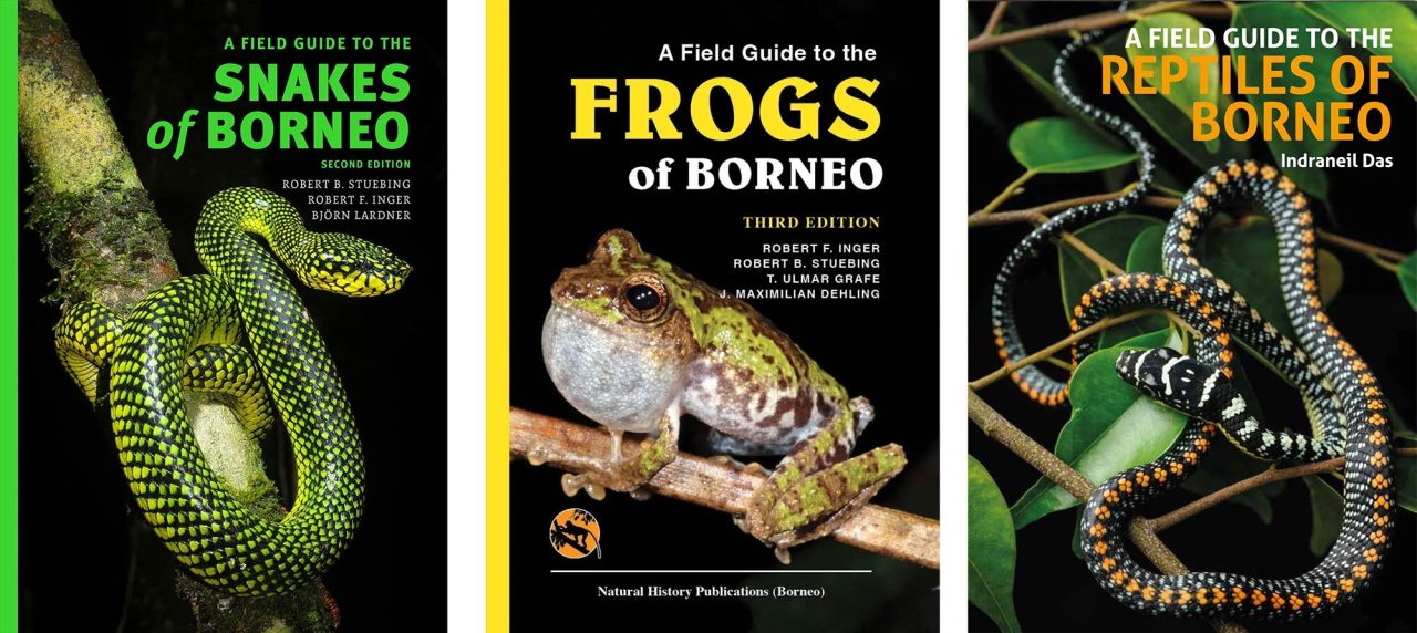 Guidebooks on reptiles and amphibians of Borneo