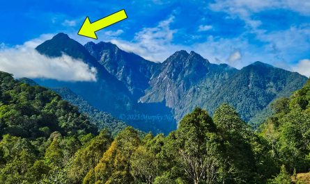 Mount Sayap (Mount Guwow) of Sabah