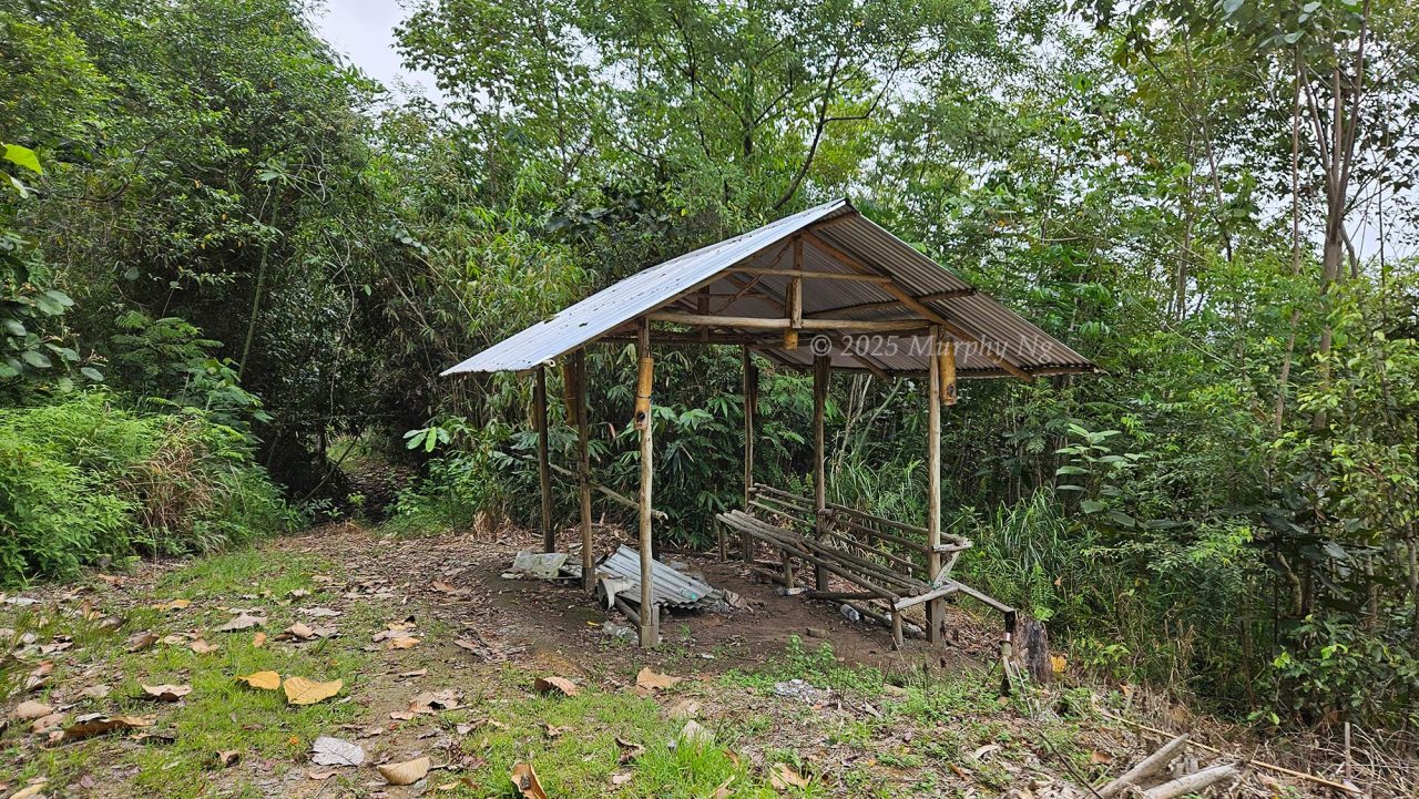 The shelter at the starting point after 2.9 km