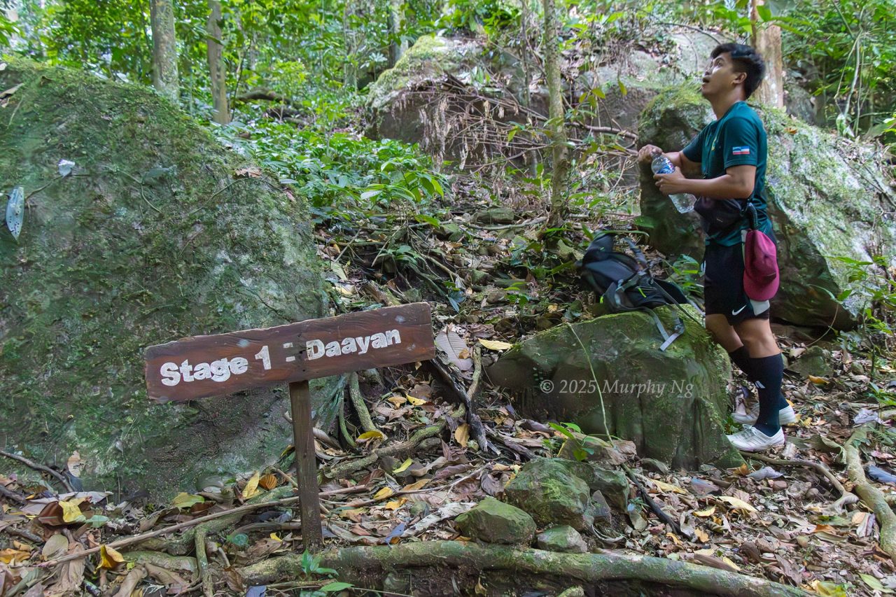 Start of Stage 1 (Daayan) 