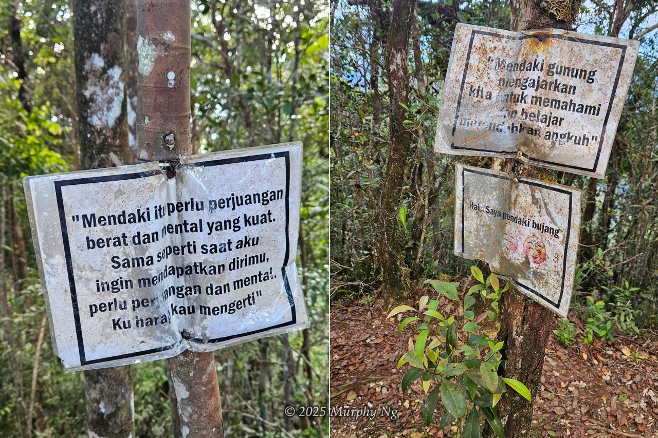 Some motivational, funny, and inspiring quote banners along the trail.