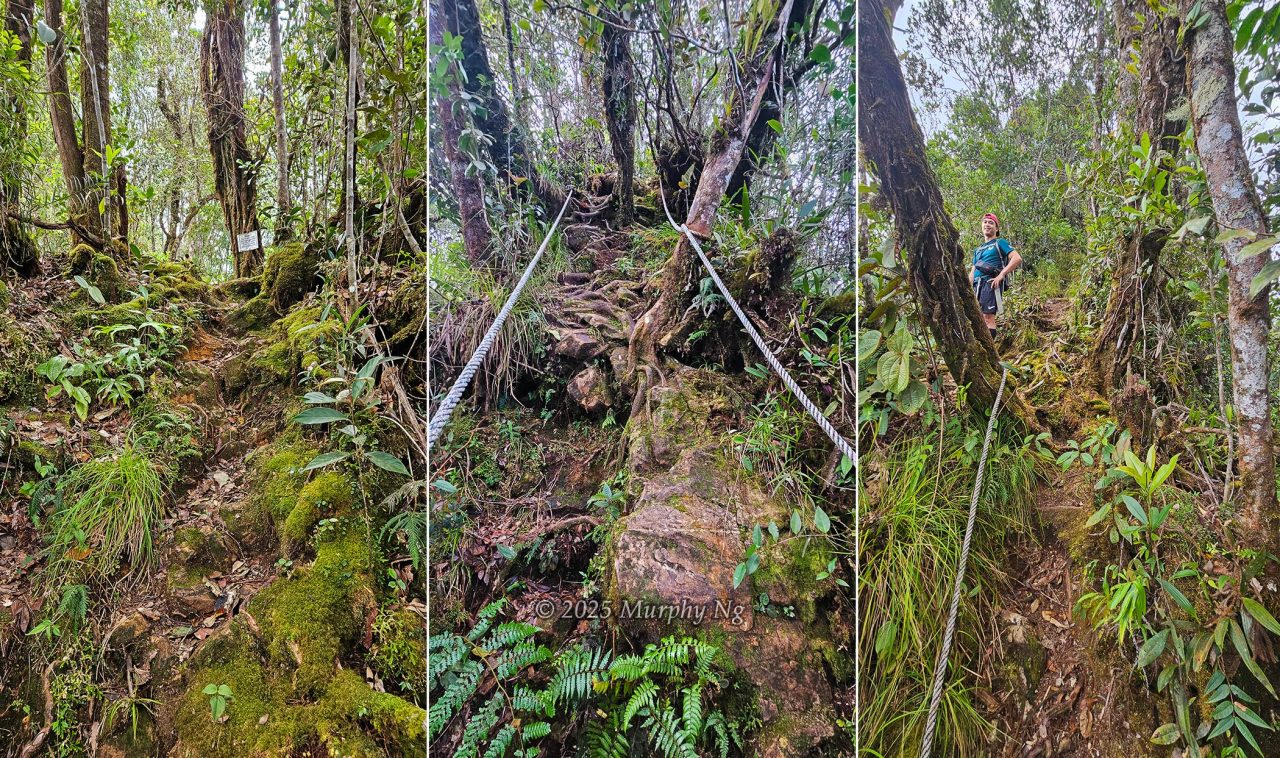 More near-vertical stretch of Wosoi Stage