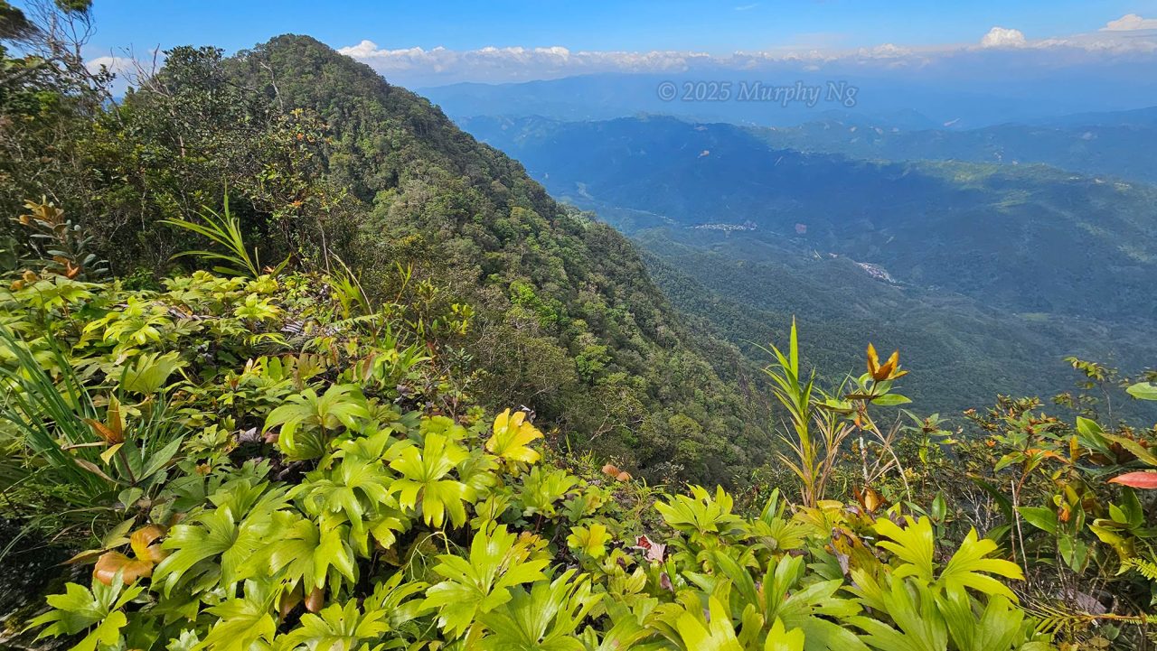 Another high peak of Mount Nungkok and Kampung Lobong-Lobong at its foothill. 