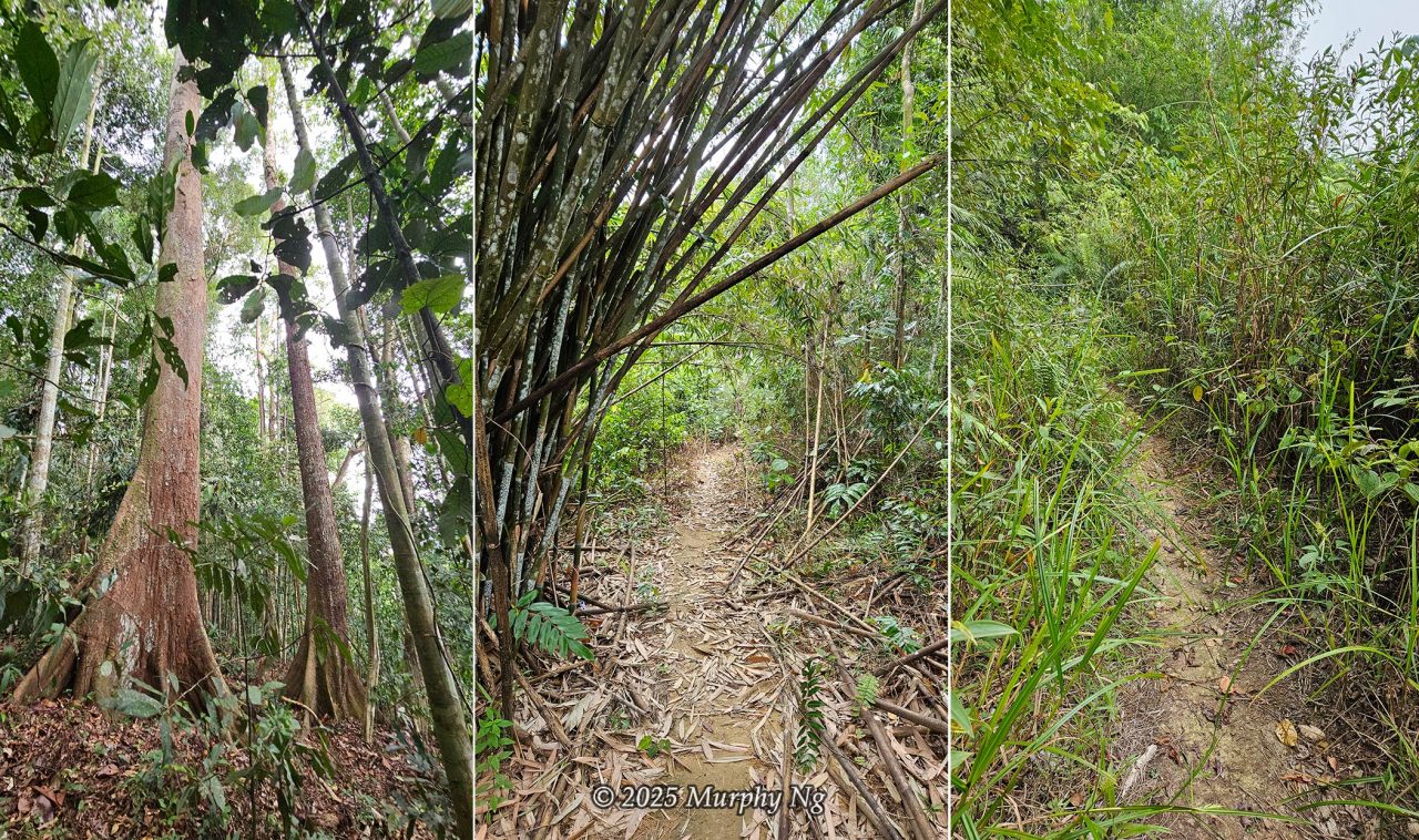 Countryside trail