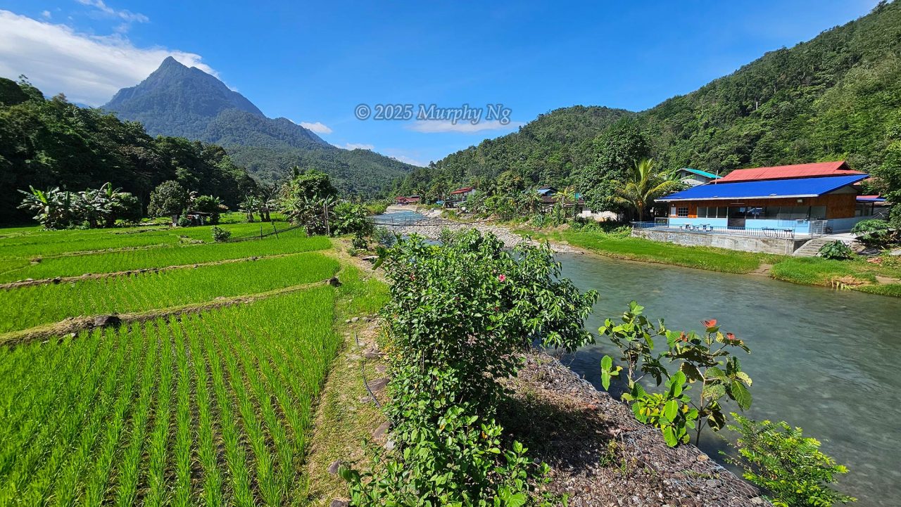 Piras Kadamaian Campsite in Kg. Tambatuon