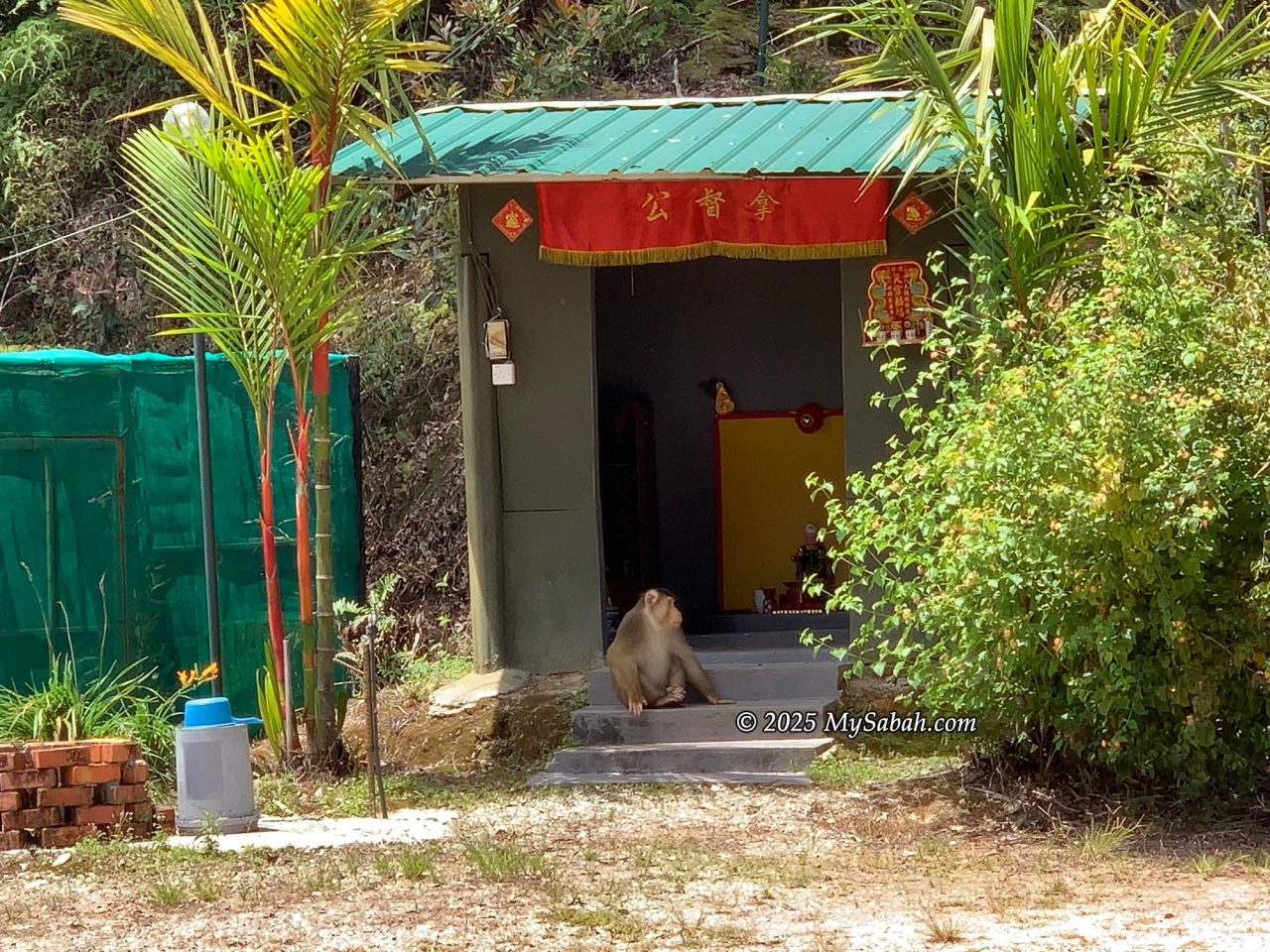 The shrine of Datuk Gong at a forest camp