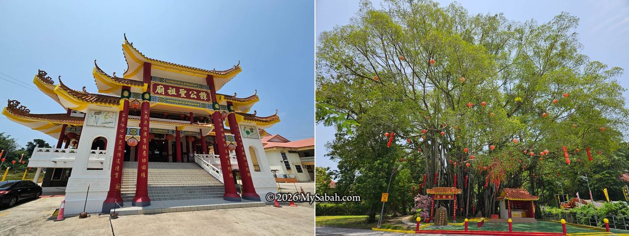 Left: Tam Kung Temple. Right: The banyan tree where the Datuk Gong stays.