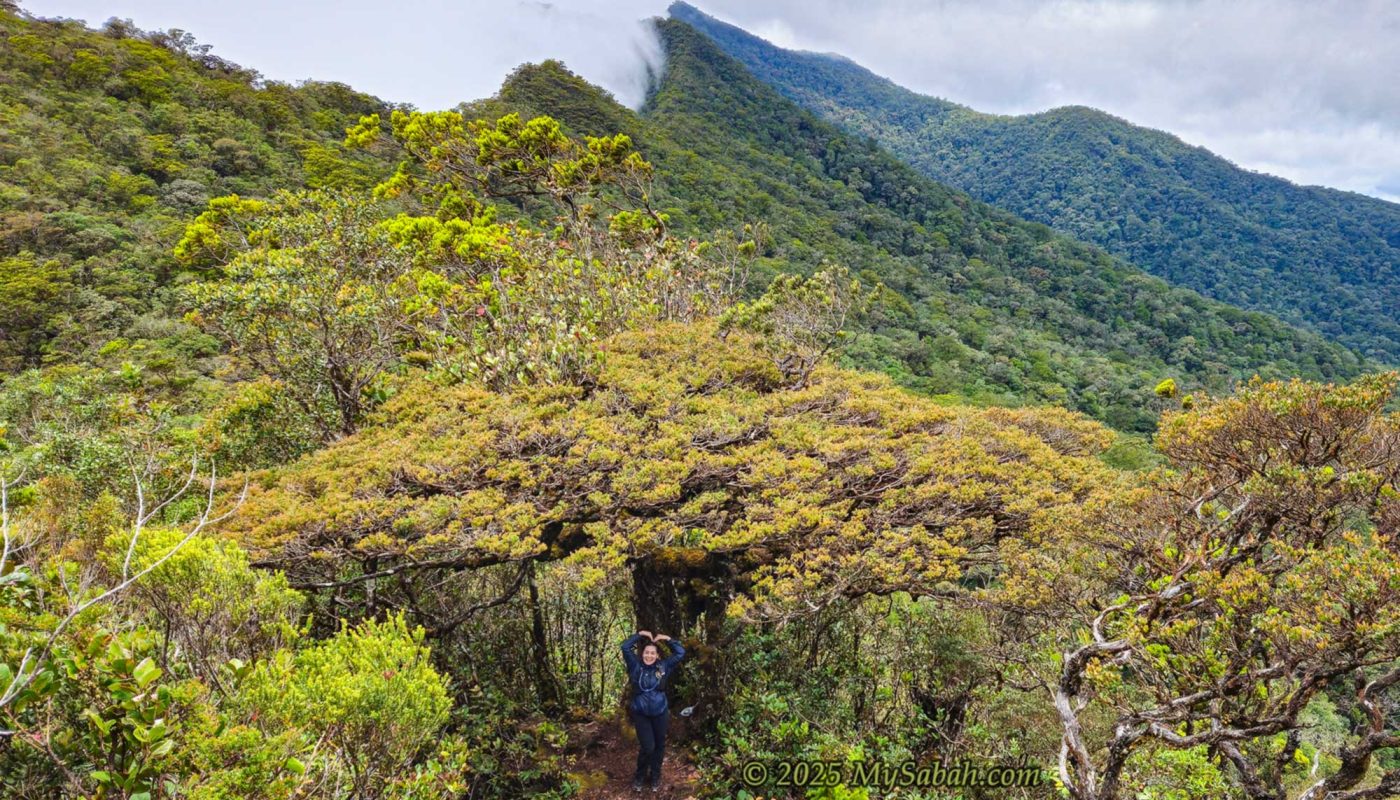 Climbing Mount Sinsing and Kaingaran