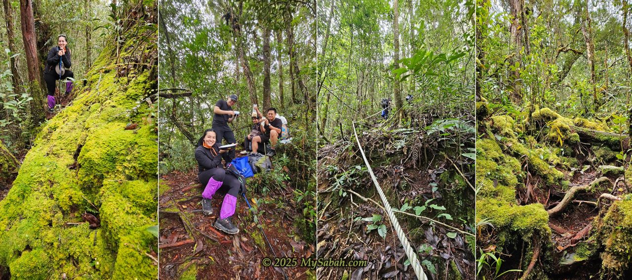 Climbing Mount Sinsing