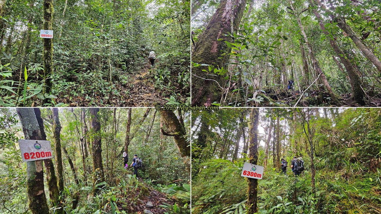 Summit trail of Mount Sinsing
