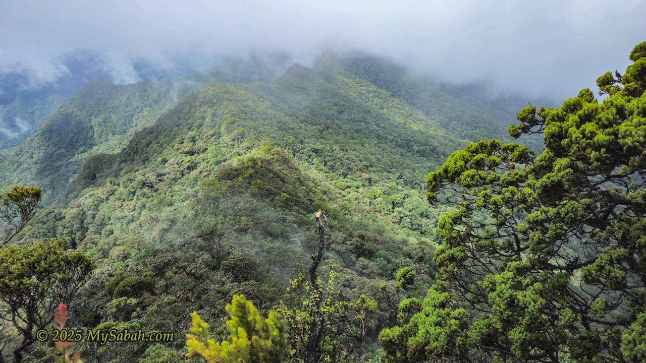 Mountains in Nuluhon Trusmadi Forest Reserve